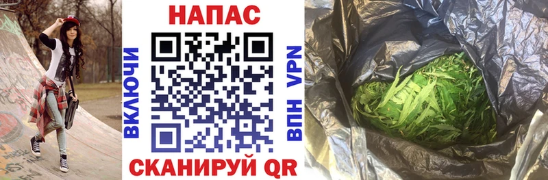 Купить где  Сосновоборск  МАРИХУАНА семена 